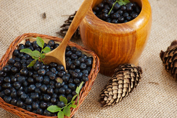 mortar with blueberries and pine cones
