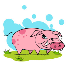 Funny pig cartoon