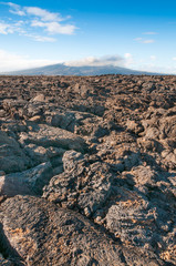 Fototapeta na wymiar Pahoehoe volcanic rock Galapagos.