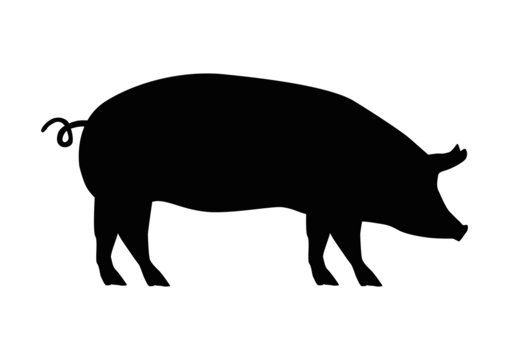 Schwein Silhouette