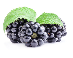 Blackberry with leaves isolated on white