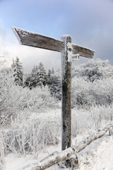 Blank signpost in winter landscape