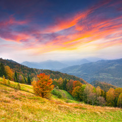 Colorful autumn landscape in the Carpathian mountains