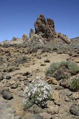 Roques de Garcia, Teneriffa