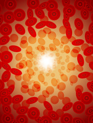 blood and body, movement of life