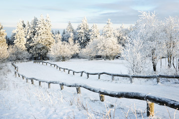Winter landscape