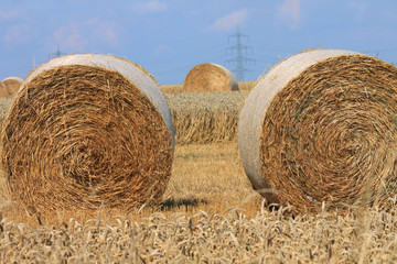 Strohballen