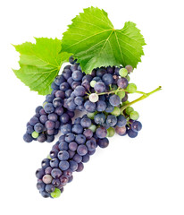 fresh grapes wine with green leawes isolated on white background