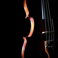 Violin orchestra musical instruments © Alenavlad