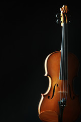 Violin orchestra musical instruments