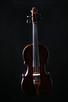 Violin orchestra musical instruments