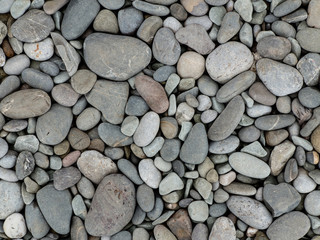 Pebbly seashore background - close-up shot