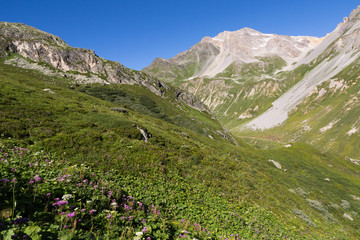 Obraz premium Alpage et vallée de chavière