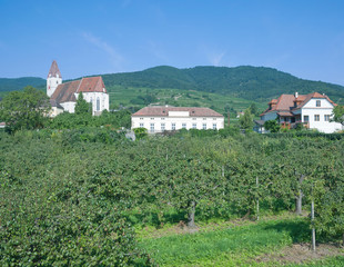 Weinort Spitz in der Wachau an der Donau in Niederösterreich
