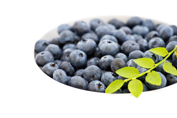Fresh juicy blueberries in the white bowl