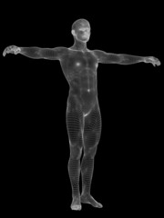 Obraz premium 3D wireframe mesh human man anatomy