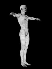 Fototapeta na wymiar 3D wireframe mesh human man anatomy