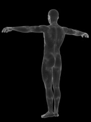 3D wireframe mesh human man anatomy