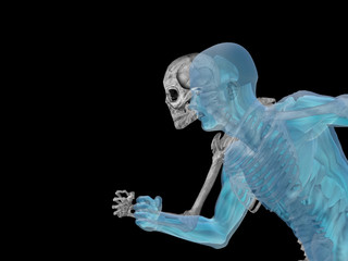 3D human man anatomy for health or medicine