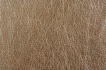 Brown Glossy Artificial Leather Background