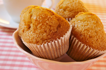 magdalenas, typical spanish plain muffins
