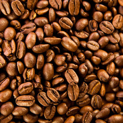 Brown coffee, background texture. roasted coffee beans. Brown co