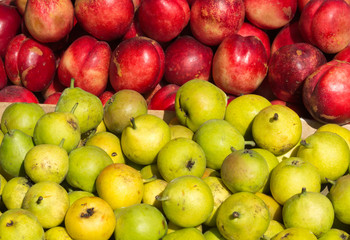 Apples and nectarines on sale