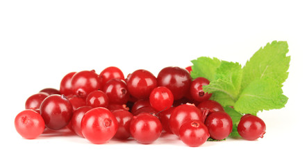 Ripe red cranberries, isolated on white.