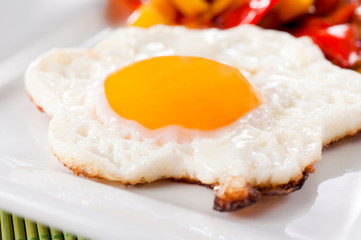 Close up to egg
