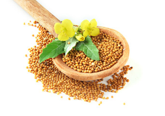 Mustard seeds in wooden spoon with mustard flower isolated