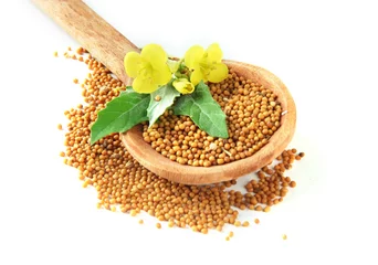 Foto auf Glas Mustard seeds in wooden spoon with mustard flower isolated © Africa Studio
