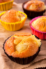 Sponge cake