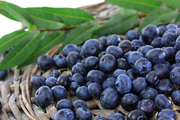 Blueberries on wicker tray