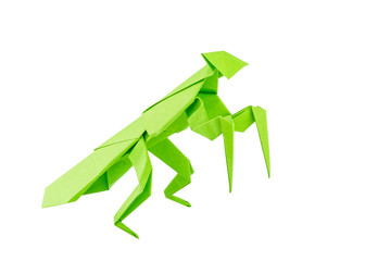 Origami mantis isolated on white background