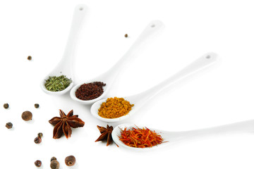 Assortment of spices in  white spoons, isolated on white