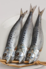 イワシの丸干し