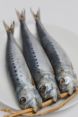 イワシの丸干し