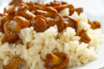 Risotto with chanterelles