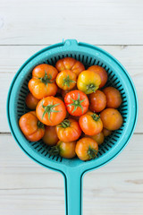 Freshly picked organic tomatoes in a colander