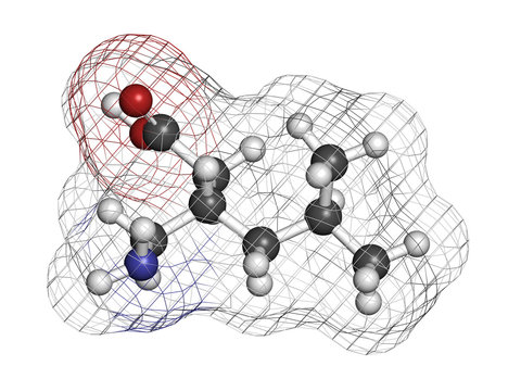 Pregabalin epilepsy and fibromyalgia drug, chemical structure.