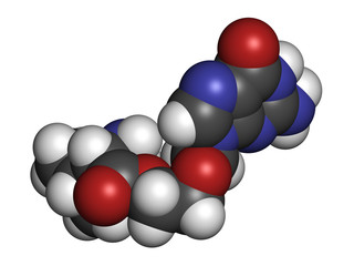 Valaciclovir (valacyclovir) herpes infection drug