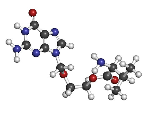 Valaciclovir (valacyclovir) herpes infection drug