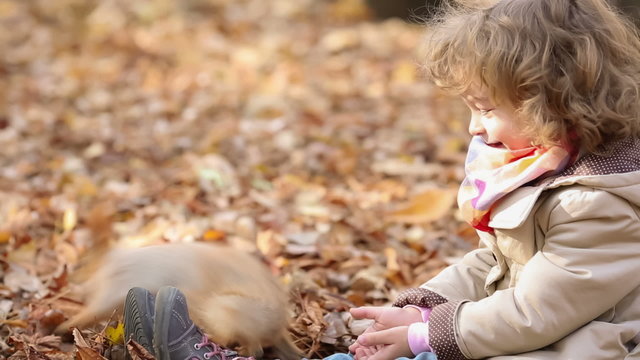 Happy child feeds a little squirrel in autumn park