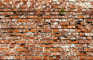 Old red brick wall