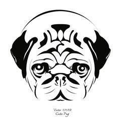 Pug dog face in black and white