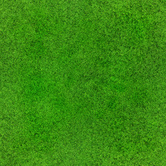 Fototapety  bezszwowa tekstura trawy