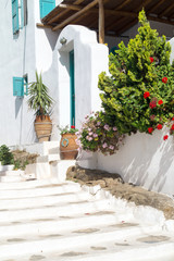 Fototapeta na wymiar Traditional greek alley on Sifnos island, Greece