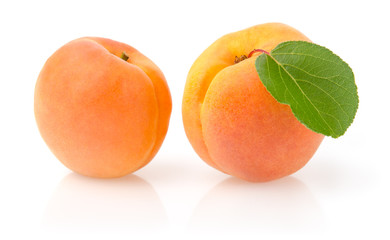 Ripe Apricots with Leaf Isolated on White Background