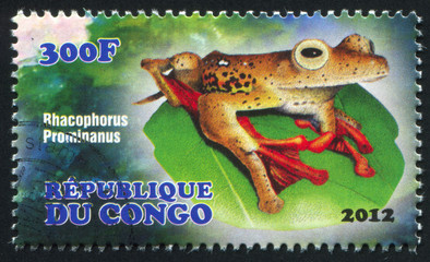 frog