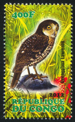 stamp owl